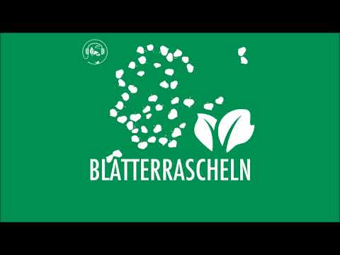 Blätter Geräusche zum Einschlafen | 2h White Noise