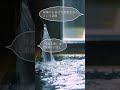 【界 長門】藩主を癒した温泉街で新しい雅を体験できる温泉宿