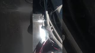 Install a Mopar One-Wire Alternator: Simplified Guide
