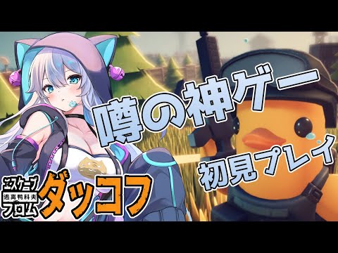【エスケープ フロム ダッコフ】初プレイで何処まで行けるかな？【雪猫天華】
