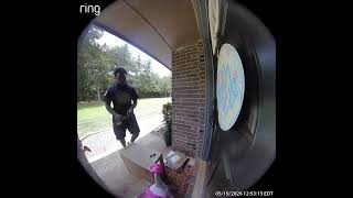 Delivery Driver Rights Porch Goose After Bumping It