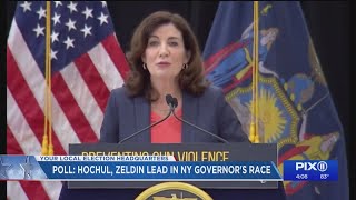 Hochul, Zeldin in lead for governor's race noms: poll