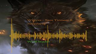 Wolves - Sam Tinnesz Ft Silverberg