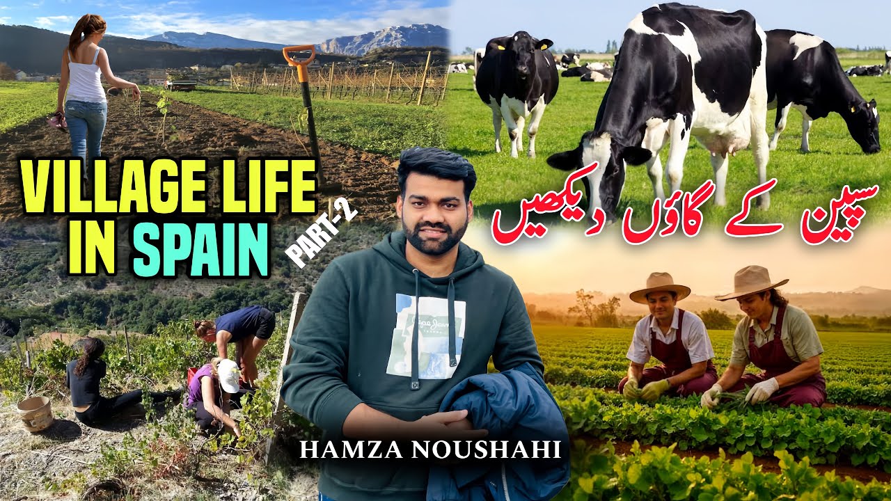 Spain Village Lifestyle | Village Life In Europe | Spain ka Gaon | Agriculture Village Vlog