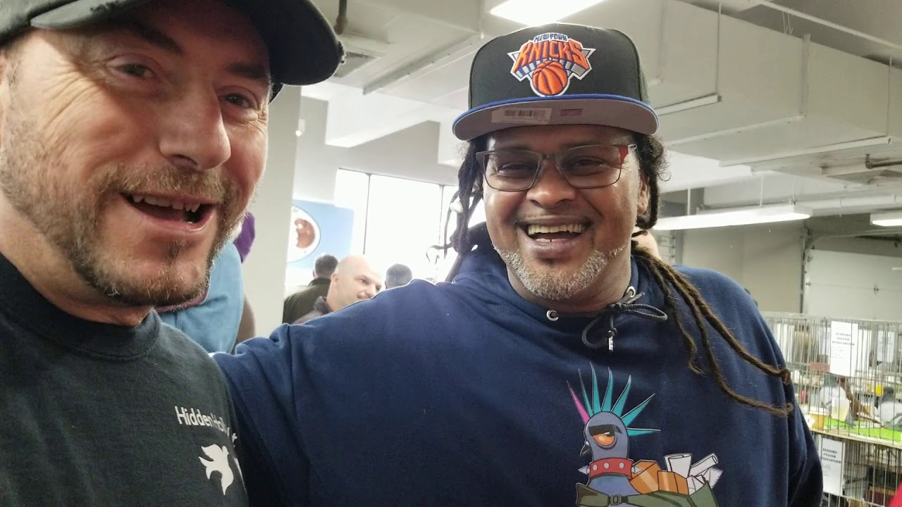 Lancaster pigeon show..2020 YouTube