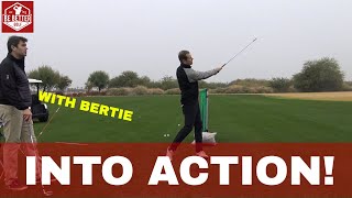 GOLF Drill to STAY DOWN and Compress the ball. Brendon Lesson with Bertie BE BETTER GOLF #golf