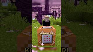 YARATICI MODDAKİ OYUNCUYU ÖLDÜRMEK!?!