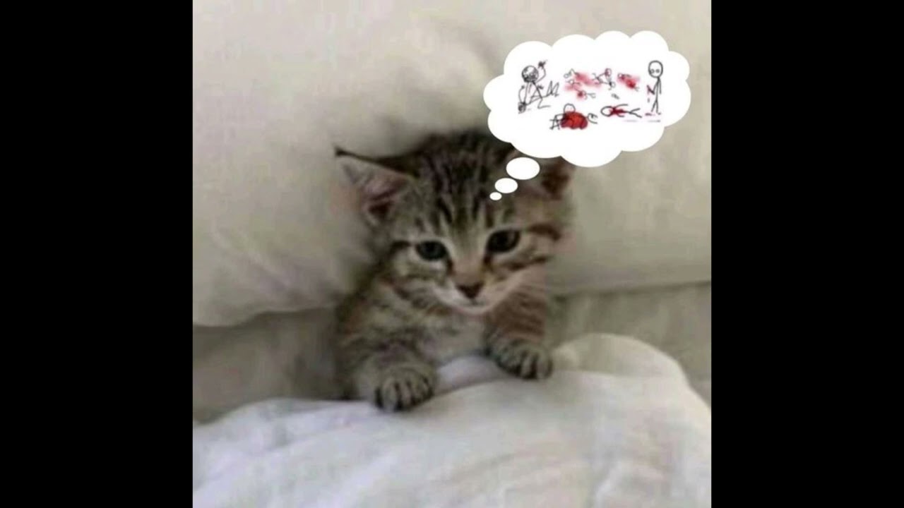 шайни + nikitsunami Type beat - ziplook @kir1i