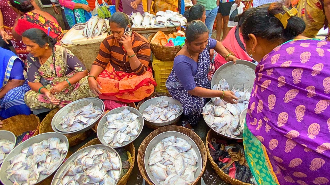 Последнее видео с рыбного рынка Малада | Рыбный рынок Малада | Оптовая и розничная торговля рыбой