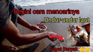 Mencari undur-undur laut || umpan jitu mancing Pasiran & rock fishing