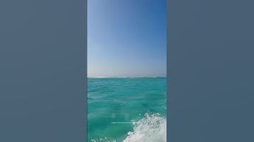 سورة الروم و،؛كا.نك تسمعها لأ،؛و.ل مر.ة❣️؛، 💮🌻..💞💚💟؛💖بصوت الشيخ حمزة مدبو.ح 🌼🏵️،؛🌷💝🌸،. 💘🧡💜