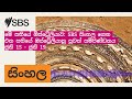 මේ සතියේ ඕස්ට්රේලියාව: SBS සිංහල ගෙන එන සතියේ ඔස්ට්රේලියානු පුවත් සම්පිණ්ඩනය ජුනි 15 - ජුනි 19...