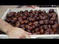 ⽼舗和菓⼦店の栗おはぎの作り⽅を初公開【ずっと⾒てられる職⼈のワザ】