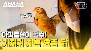 [뉴띵 EP.18] 