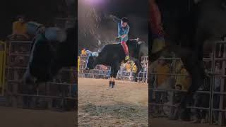 ¡Jaripeo Espectacular! #shorts