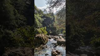 SUSUR SUNGAI DI BOGOR JAWA BARAT| FIRECRAFTED 🏞️🌳🌲#shorts #outdoors