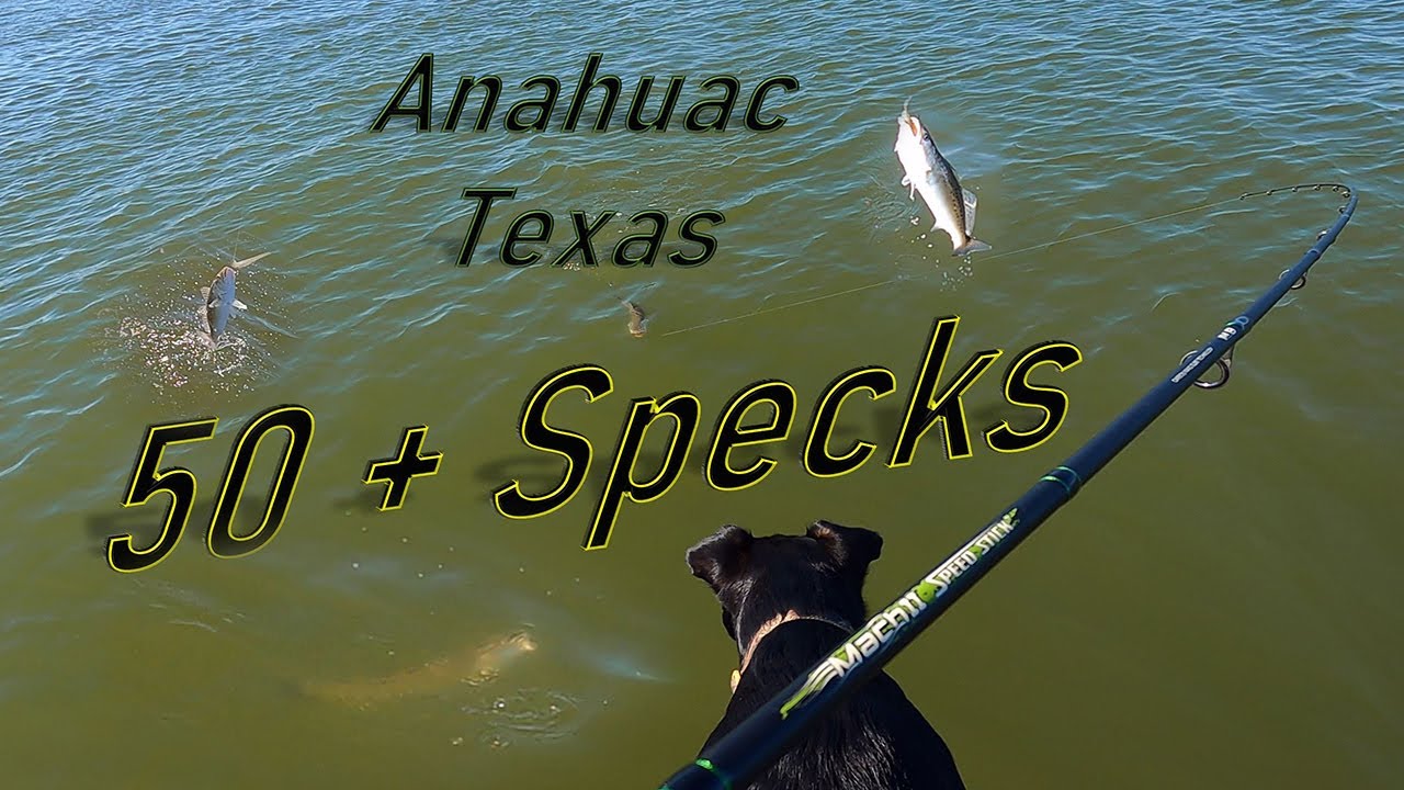 Speckled Trout Fishing In Anahuac Texas 