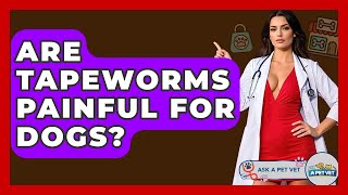 Are Tapeworms Painful For Dogs? - Ask A Pet Vet