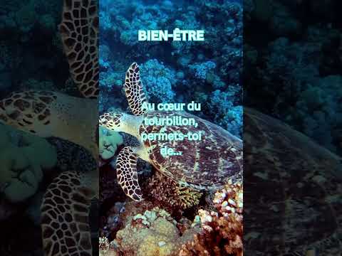 Bien-Être : Trouver