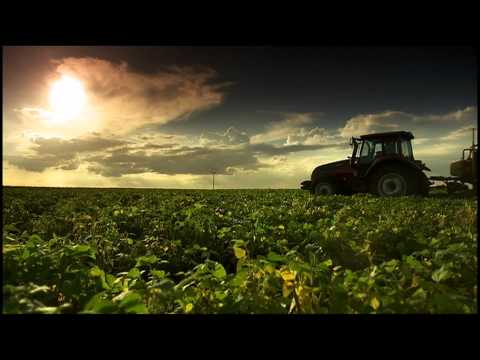 Video: Vorteile von dürretoleranten Pflanzen - Verwendung von dürretoleranten Pflanzen in der Wüste