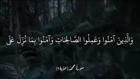 آياتٌ مختارةٌ مِنَ الذكرِ الحكيم سورةُ محمد (الآية ٢)#أهل_القرآن_الأبرار