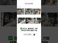 프리미엄 용인 공장 매매 : 물류 유통 연구소 사옥용 가능 120억