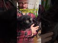 The devil is sealed #cat #catsoftiktok #funnyvideo #fyp #pet