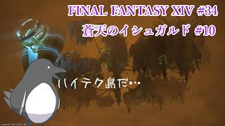 友の仇を討つために【FINAL FANTASY XIV 】 #34【蒼天のイシュガルド#10】