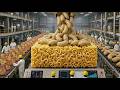 Inside the Coconut Worm Factory How Fatty Worms Become Instant Noodles 🍜🐛 Future Food
