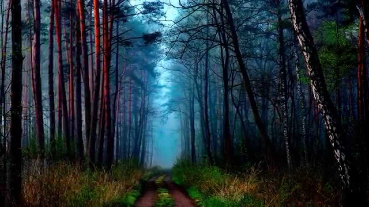 Diary Of Dreams Color Of Grey