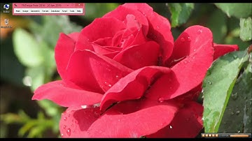 Image to Image Geo referencing on TNTmips Software