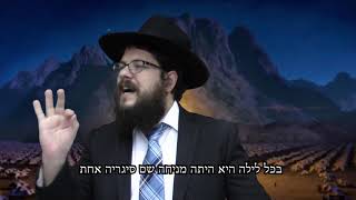 האישה שחגגה ליל הסדר 365 פעמים בשנה - הרב שניאור אשכנזי