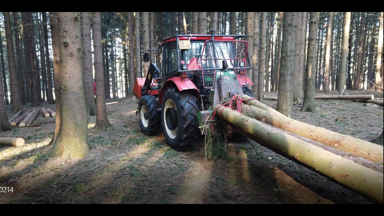 Boucháme v lese kubíky   MEXIKO 2019
