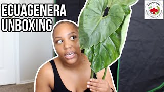 ecuagenera unboxing + starting the acclimation process for importing!