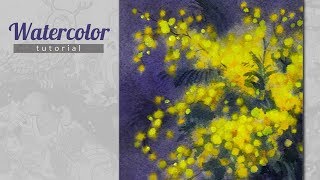 mimosa paint watercolor acacia