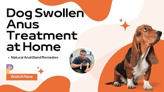 Dog Swollen Anus Treatment at Home: Natural Anal Gland Remedies | Dr. Alex Crow | PetHealthGuru #dog