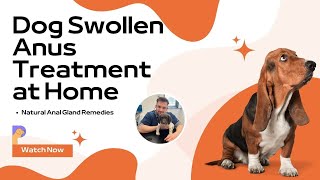 Dog Swollen Anus Home Remedies Dog Anal Problems Dr Alex Crow PetHealthGuru