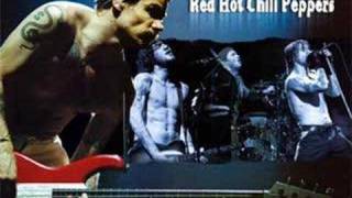 RHCP - By The Way (Acoustic) Live!