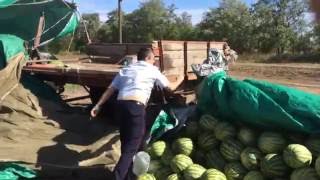 Полицейский беспредел трасса М4 Дон Ростовская обл. Тарасовский р-н. 8 сентября 2016г. (часть 4) Полицейский беспредел трасса М4 Дон Ростовская обл. Тарасовский р-н. 8 сентября 2016г. (часть 4)