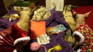 Sss Presents Christmas 2011.Avi