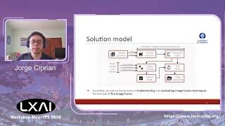 Deep Learning Model for Wildfire Detection Through the Fusion of Visible and Infrared Information