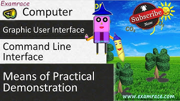 Graphic User Interface and Command Line Interface: Fundamentals of Computers