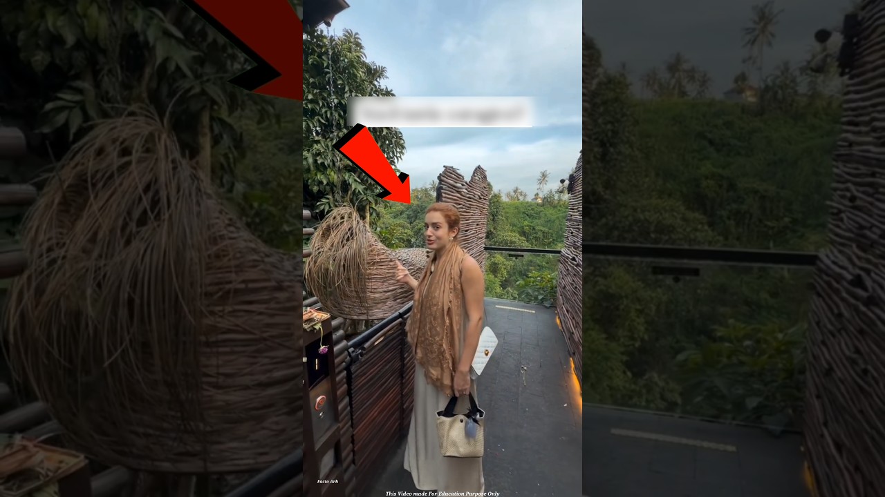 I Visited a Tribal 5-Star Hotel and Found THIS Unique Wooden Lift! 😱🌲 #shorts #facts