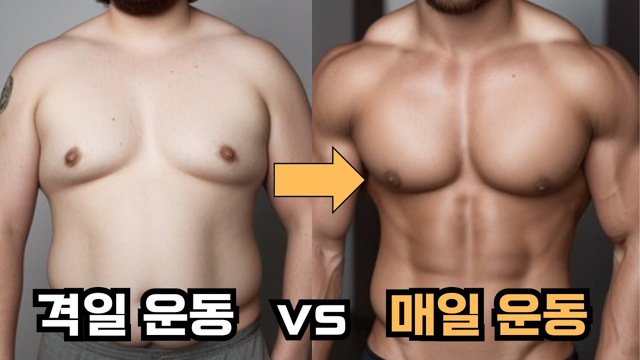 매일 운동 vs 격일 운동, 뭐가 더 효과적일까?