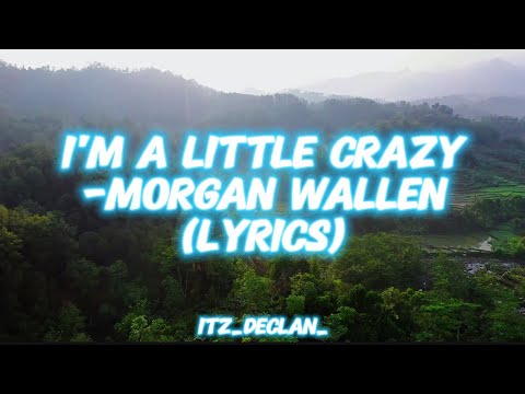I'm A Little Crazy - Morgan Wallen (Lyrics)