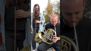 There she blows! A professional violinist tries French horn for the first time @DWClassicalMusic