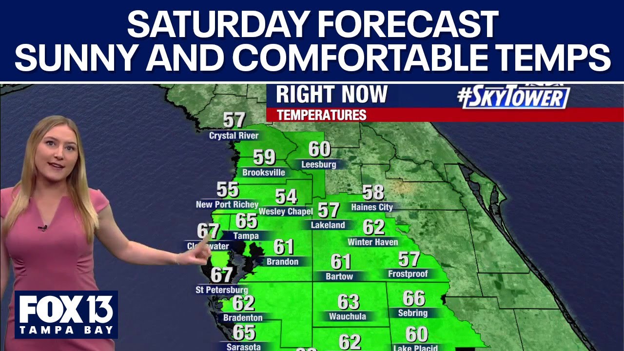 Tampa weather | Sunny and comfortable temps - YouTube