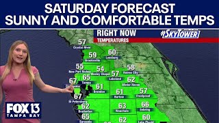Tampa weather | Sunny and comfortable temps