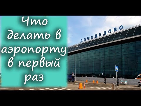 Что делать в аэропорту в первый раз: регистрация на рейс, досмотр, паспортный и таможенный контроль