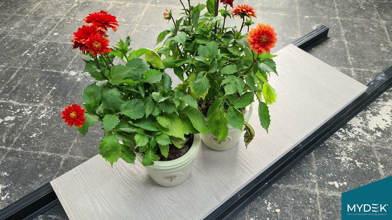 The Flower Pot Test: Luxura® vs Porcelain Paver